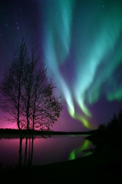 natureluvs:  Aurora Display by Ronald Lafleur.