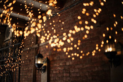 I love fairy lights.