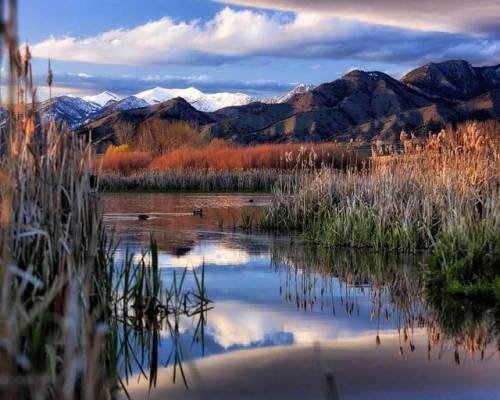 Let’s sit on the bank and listen to the quiet. l : IG user coltonstifflerphotography