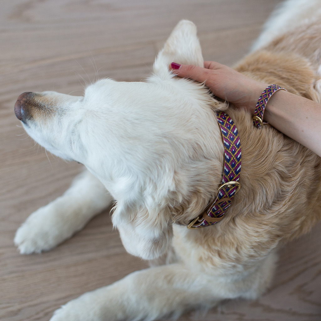 hirvithewolfhound:  finnandfarah:  omfg y’all. FRIENDSHIP COLLARS.  HOLD THE PHONE,