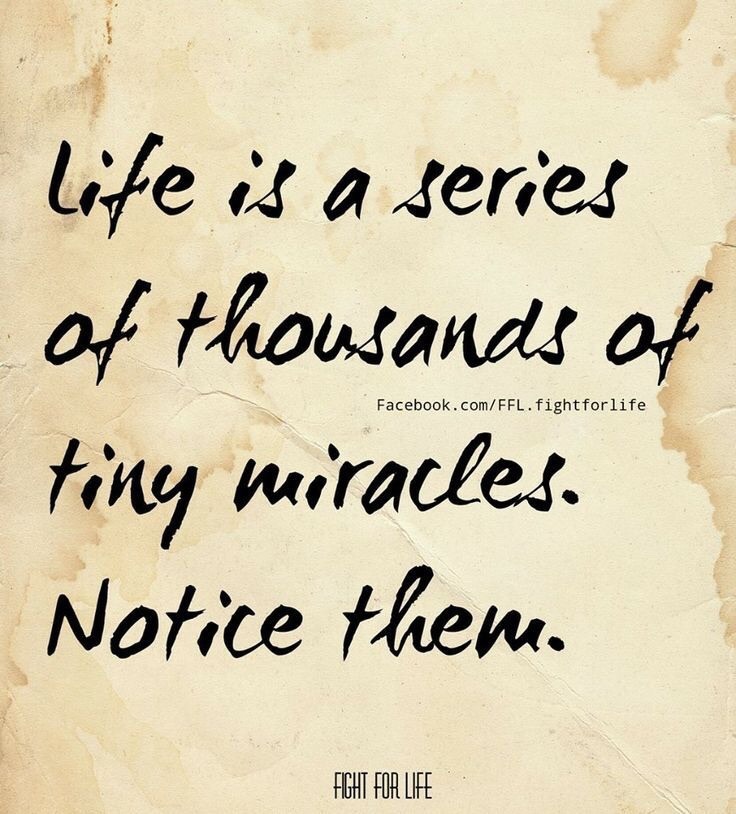 bootyanddoubloons:  This I believe wholeheartedly….