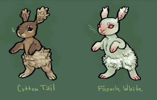 roachpatrol: I love Pokemon variations! So I went nuts on breeds of Buneary. 