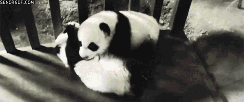 haiilmaredentroliride:  occhiluccicantiemanifredde:  occhiglaciali:  iaiapici:  Oh