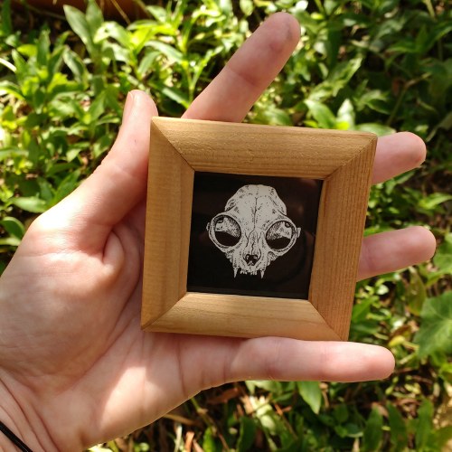 Teeny tiny skull !EtsyInstagramYou can now support my work with Ko-Fi ! 