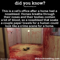 did-you-kno:  The picture was originally