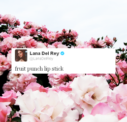 lana-del-grey:  twitter advice from Lana