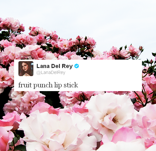 lana-del-grey:  twitter advice from Lana Del Rey   