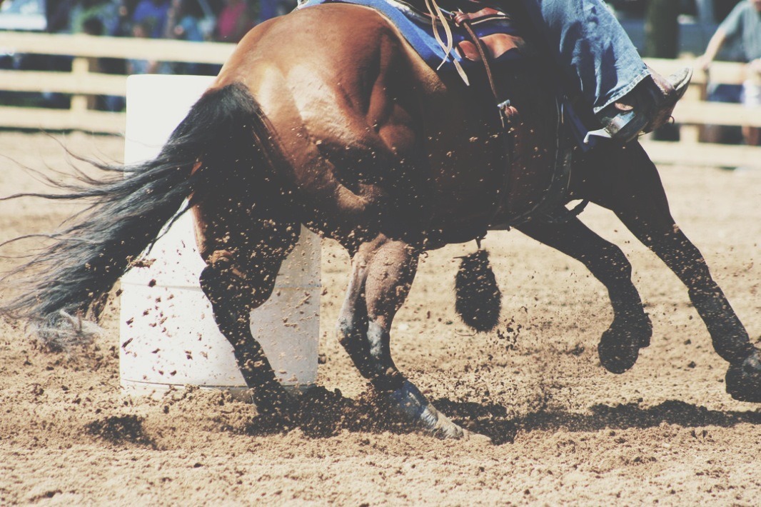 Can&rsquo;t wait till this summer!