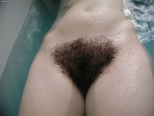 bigsohotpubes:  More Hairy Babes HERE