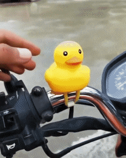 chewedcorn:  Duckie Wearing Helmet
