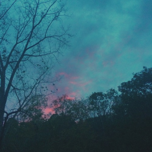 artpricot: the sunset was violently sudden &amp; spectacular tonight. these pictures were taken 