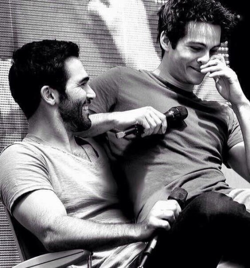 Sterek Crack #1