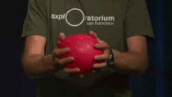 Exploratorium: Have You Ever Wondered About The Secret Behind A Ball’s Bounce? Unlock