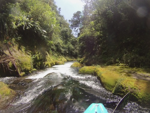 Paddled the most amazing river on the planet on Saturday! Waiari Gorge is spring fed and so clean yo