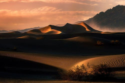 coffeenuts:  Death Valley, California, USA