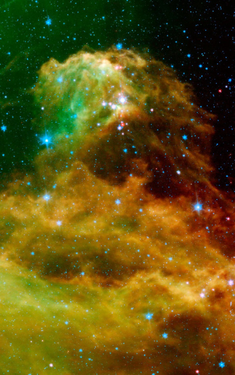 astronomicalwonders:  Young Stars Emerge from Orion’s Head “This image from NASA’s Spitzer Space Telescope shows infant stars "hatching” in the head of the hunter constellation, Orion. Astronomers suspect that shockwaves from a supernova