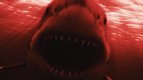 Just When You Thought It Was Safe To Go Back In The Water.