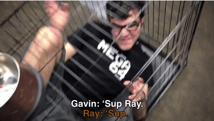 captainmarvol-blog:  Ray being a god damned cutie [x] 