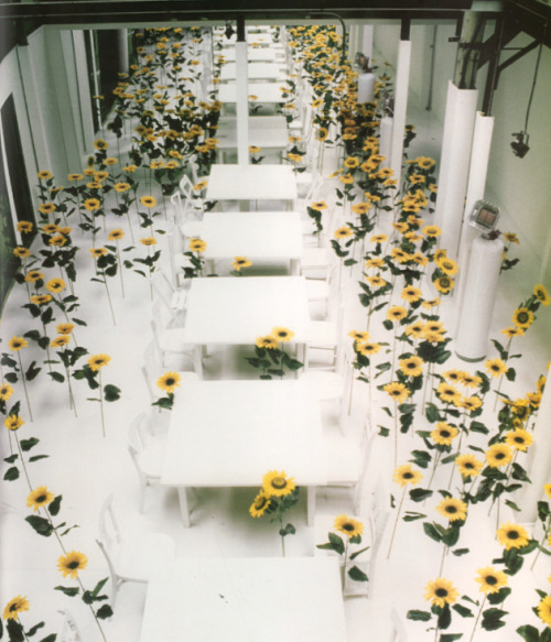 Maison Martin Margiela S/S 1997 Showroom The monochromatic space was dominated by white décors, emph