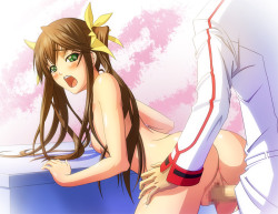 unlimited-sexxy-works:  Download my sexy Infinite Stratos hentai collection here: http://adf.ly/qEtcQ