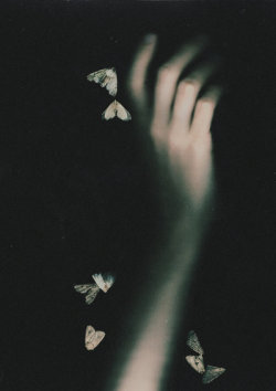 orbs-of-light: Evanescent light for little moths by NataliaDrepina  