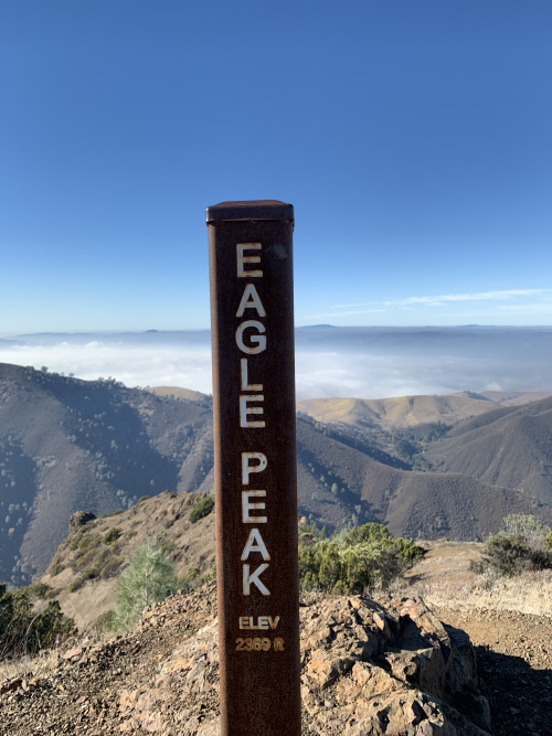 Hiking in Mount Diablo State Park was one of the goals for last year. So on an early foggy morning w