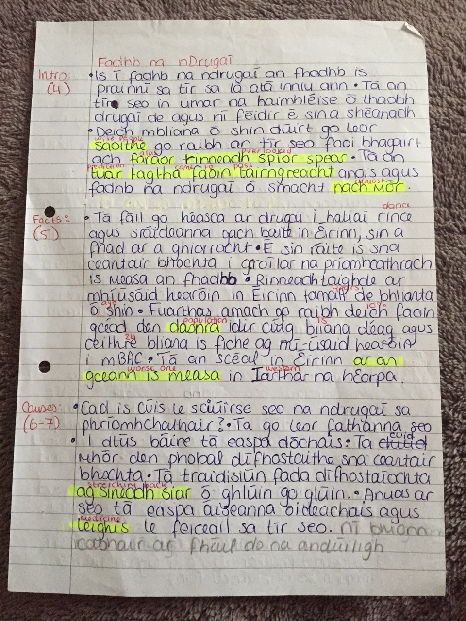 sample descriptive essay leaving cert