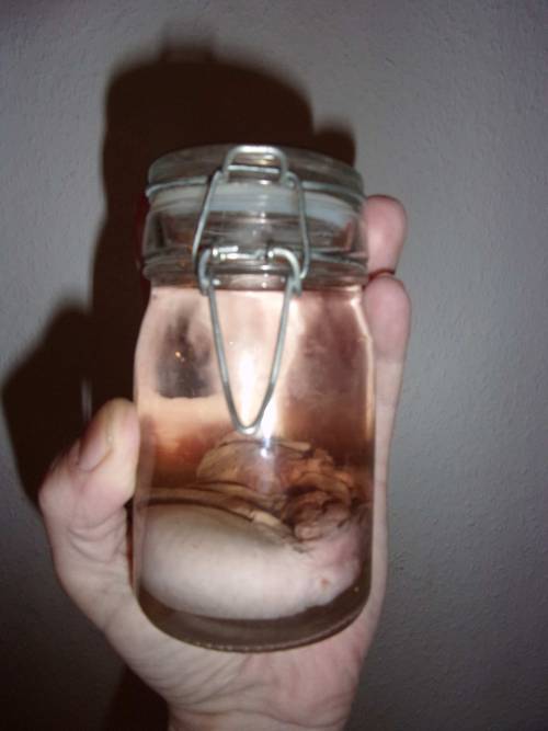 juliusmr: ever seen yours like this?