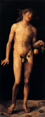 artist-durer:  Adam, 1507, Albrecht DurerMedium: