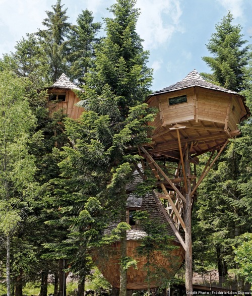 voiceofnature:  Treehouses at Bol d’Air, France 