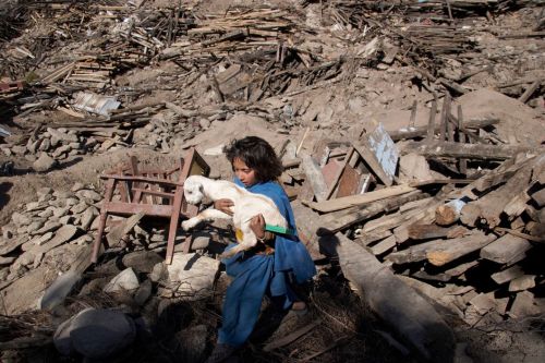 unearthedviews: PAKISTAN. Allai Valley area. Village of Bihari totally destroyed by earthquake. Girl