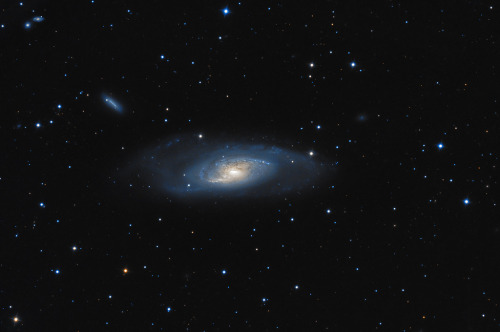 galaxyshmalaxy:M106 and friends - 11/14 Apr 13 (by Astro Steve)