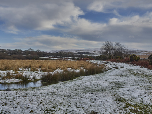 alrobertsphotography