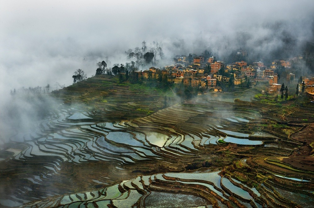 thekhooll:  Beauty Paddy of China Thierry BornierThe Hani Rice Terraces, covering