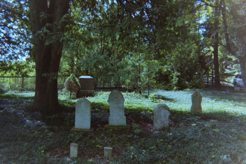 eartheld:  vhord:  revellings:  graceandgirlhood:  abandoned church and graveyard by Jessica C.  plants and pale     mostly nature