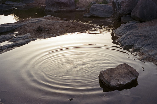 Ink’s Lake. April 2014.