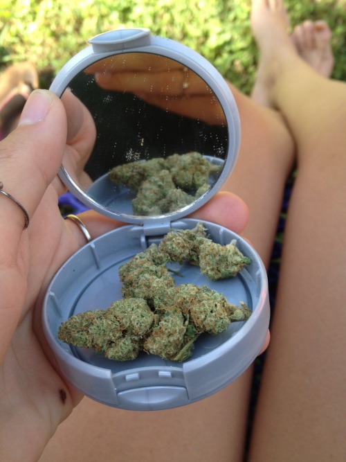the-stoner-sage:  ganjandgold:  Chill Mondays  I legit used to do this in middle school omg.