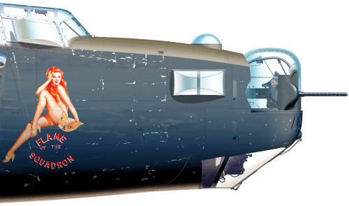donotdestroy:  Consolidated B-24 Liberator Aircraft illustration 