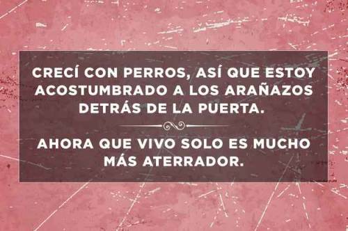 quien-decide-que-es-lo-correcto:  luthierzebeth:  el-mamut-se-hizo-mierda:  Historias escalofriantes en solo dos frases.  ¡Me encantan! 😍  Oye si😍 