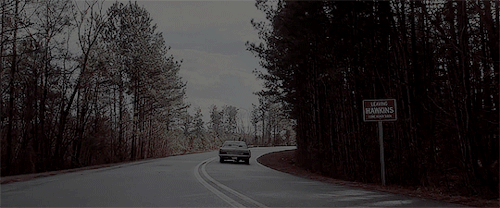 ragnarlodbroked:Stranger Things 2 + scenery