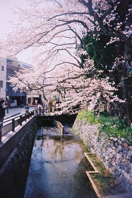 dreams-of-japan:  untitled by nijntjee on Flickr.