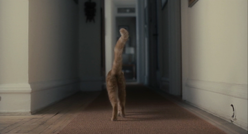 cinemawithoutpeople: Cinema without people: Inside Llewyn Davis (first pass, with cat) (2013, J