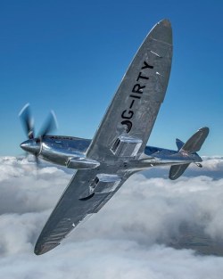 rhubarbes:  Silver Spitfire - The Longest