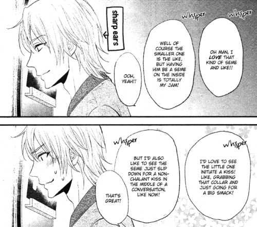 Monochromatic Fujoshi