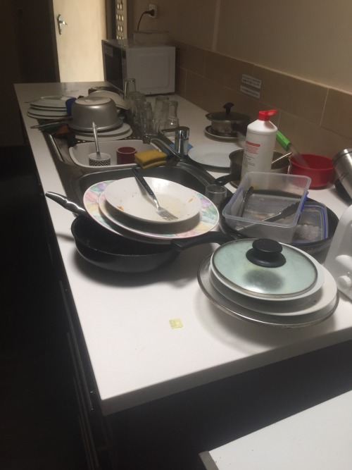 I wish my housemates would clean their fucking dishes.