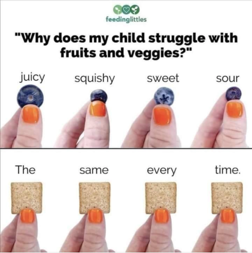 autistips:Useful for explaining sensory-related eating challenges… [ID: Image from feedinglittles.co