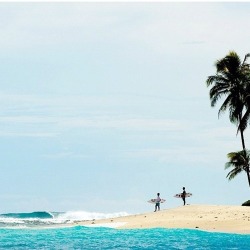 justanordinaryone:  mentawai island