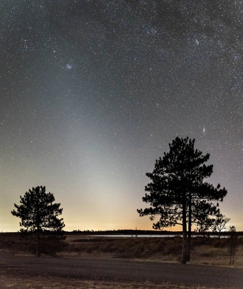 The Zodiacal Light pointing at Mars and Pleiades.