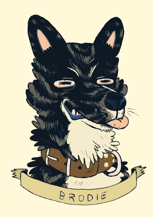 repoghost:  I needed to draw little portraits of my dogs to hang. They are good dogs!