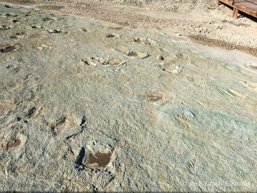 jadewolf-photography:Mill Creek Dinosaur TracksiteVarious Dinosaur TracksEarly Cretaceous (~112 mill